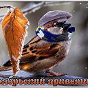  ,  -  1  2018    