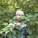 ���� ����, ������, 71 ��� - ��������� 6 ������� 2018 � ������ ���� ����������