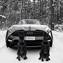 ���� ���, ������ - ��������� 3 ������ 2018 � ������ ������ ��������