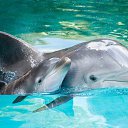 ���� �����, ��������� - ��������� 22 ������� 2018 � ������ ����� -- ��� ���� !!!!!!!!!!�