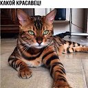 ���� �������, ������ - ��������� 25 ���� 2018 � ������ ������ ��������