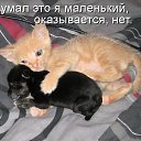 ���� ����, �������-��������� - ��������� 11 ������� 2019 � ������ ������ ��������