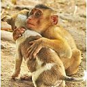 ������� �� ��� � ������ �������� . �� ������� ����������