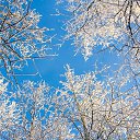 ���� ������, ������������ - ��������� 27 ����� 2019 � ������ ������