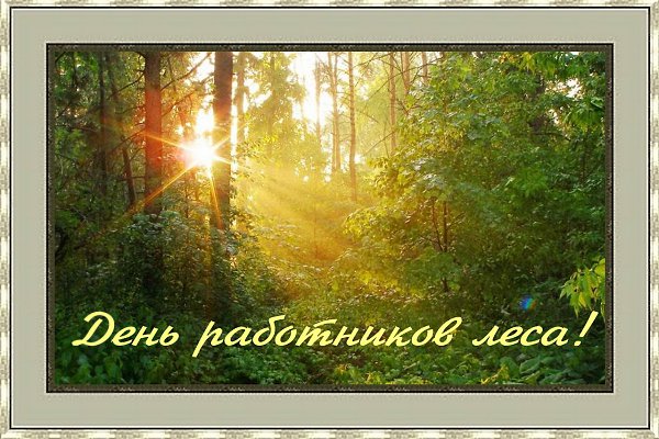 Сегодня ... ! Поздравляем всех тружеников леса и лесоперерабатывающей промышленности с праздником! ...