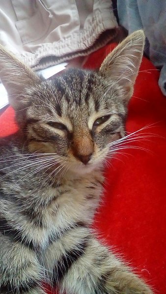 #�������_�����.����� �� ����� ������ ����� ! � ������� ������ !