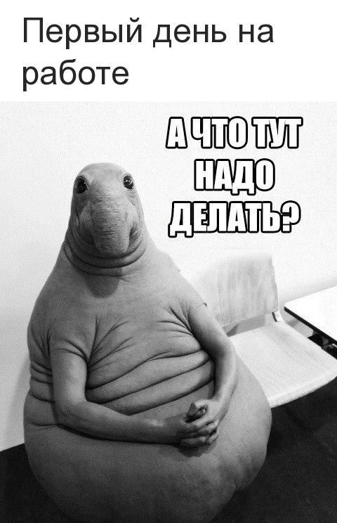   - 15  2019  16:52