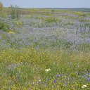 ���� �������, �������, 50 ��� - ��������� 2 ������ 2019 � ������ ���� ����������