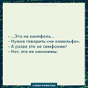  ,  -  16  2019    