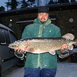 �������� ��������, ������-��-����, 48 ���