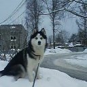 ���� ���������, ���������, 45 ��� - ��������� 4 ����� 2019 � ������ ������ ��������