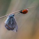 ���� �����, �������, 37 ��� - ��������� 21 �������� 2018 � ������ ���� ����������