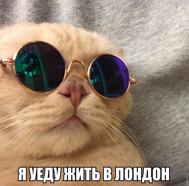       - 24  2018  16:16
