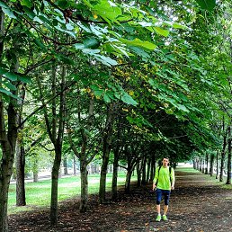 �����, ������, 34 ����