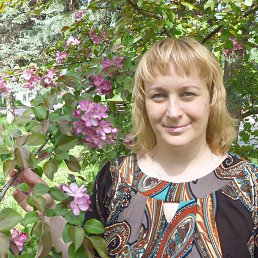 ���� ��������, ����������, 49 ��� - ��������� 15 ����� 2019