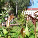 ���� ���������, ������ - ��������� 14 ������� 2018 � ������ ����ۻ