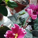 ���� �������, ������� - ��������� 1 ������� 2018 � ������ �������� �������.�