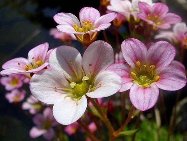  ! - 7  2018  10:03 - 4