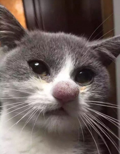 ,   .