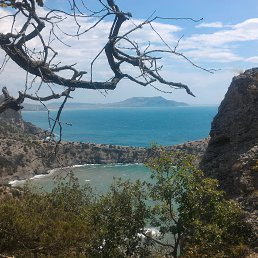 ���������, �����-���������, 51 ���