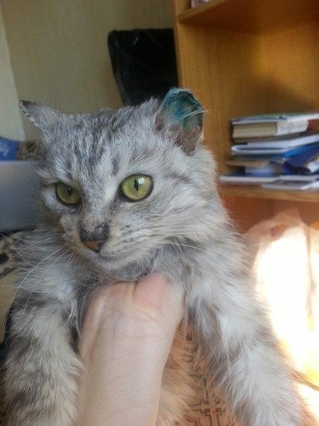 #_.     ,     .     ...