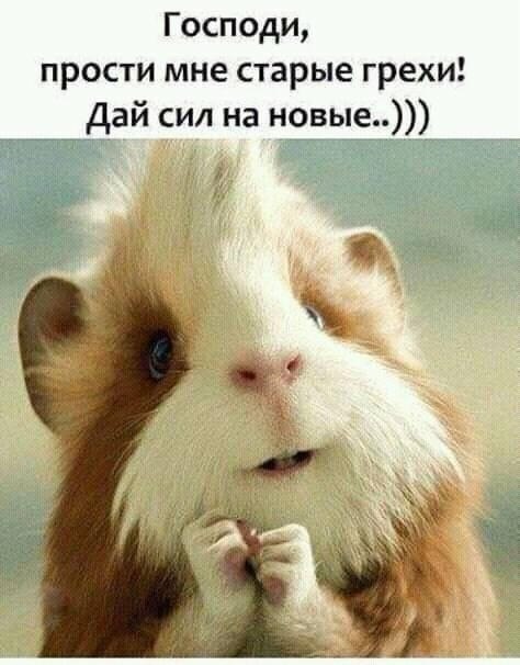 ����� - 31 ������� 2018 � 16:51