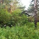  ,  -  20  2018   20/07/2018