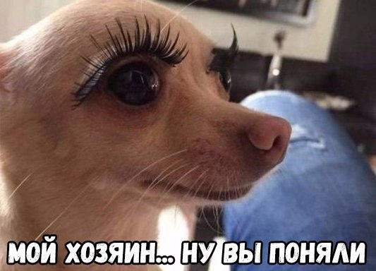 ������ �� ��� :D - 3 ������� 2018 � 17:06