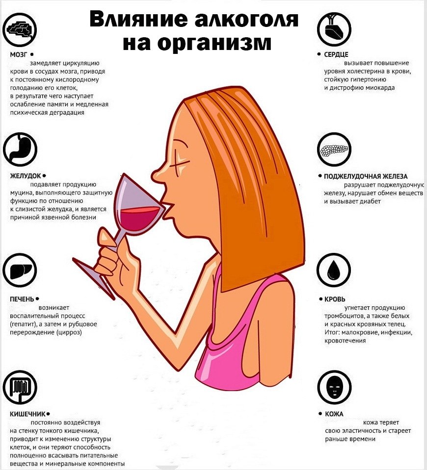 ВЛИЯНИЕ АЛКОГОЛЯ НА ОРГАНИЗМ.Многие запивают алкоголем свои проблемы. Даже известные личности не ...
