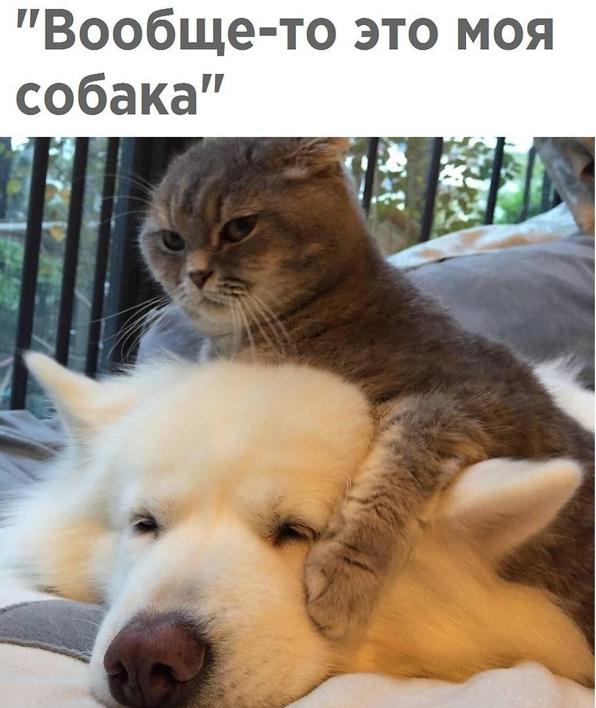  - 6  2018  16:54