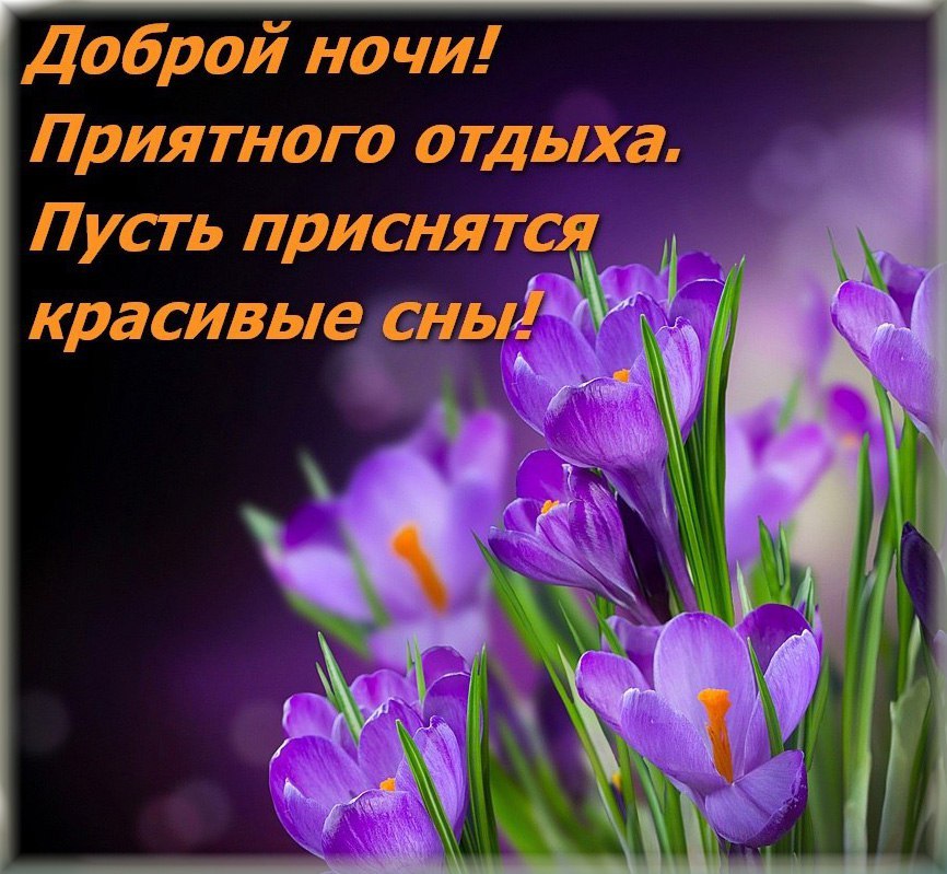   ,    . - 5  2019  21:23