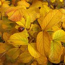 ���� ������, ����������� - ��������� 16 ������� 2018 � ������ ������ ��������