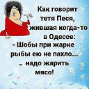  , , 49  -  5  2019   ...  )