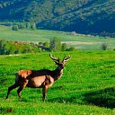  , -, 64  -  9  2019   - 