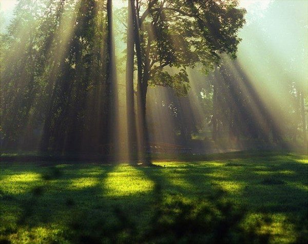 Нет лучше психолога, чем природа. Она и выслушает, и раны исцелит, и... никому ничего не ... - 7