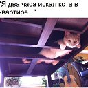 ���� Vitek, �������, 52 ���� - ��������� 10 ����� 2019 � ������ ���� ����������