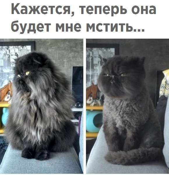  - 6  2018  16:54