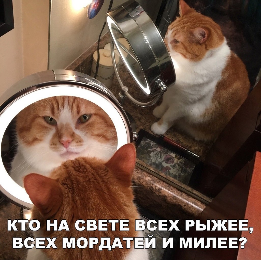  - 21  2018  16:51