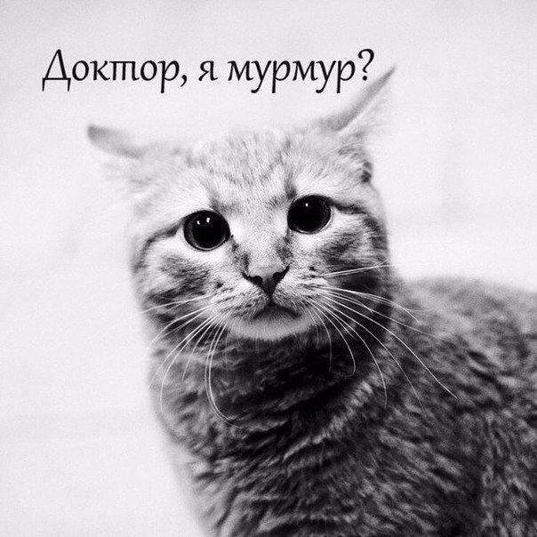 =Fox= - 11  2018  19:41