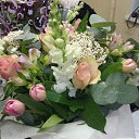 ���� �����, ������ - ��������� 25 ������� 2018 � ������ ���� ����������