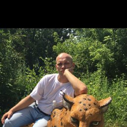 , 42, 