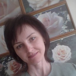 �����, ����������, 49 ���