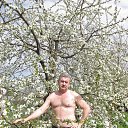 ���� ������, �������, 66 ��� - ��������� 29 ������� 2018