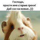 ���� �����, ������� - ��������� 14 �������� 2018 � ������ ���� ����������