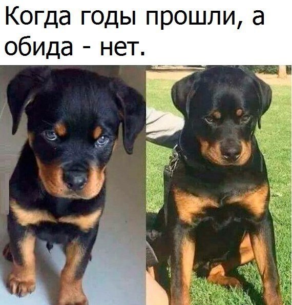  - 19  2019  17:08