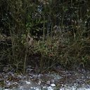  , , 43  -  2  2019   Mobile Uploads