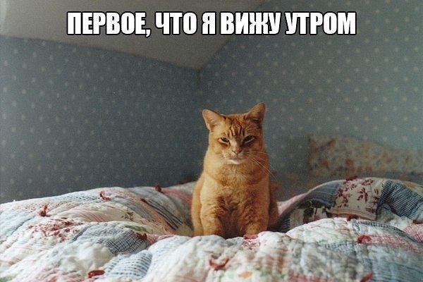   )!