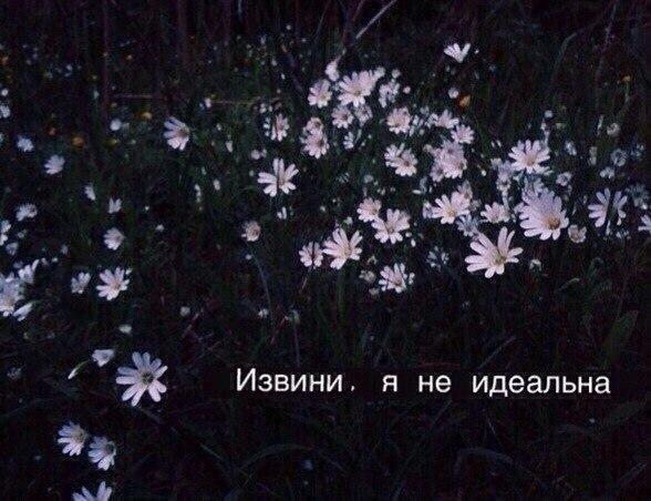 . - 28  2018  16:22