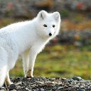 ���� ���������, �����, 53 ���� - ��������� 27 ���� 2018 � ������ ���� ����������