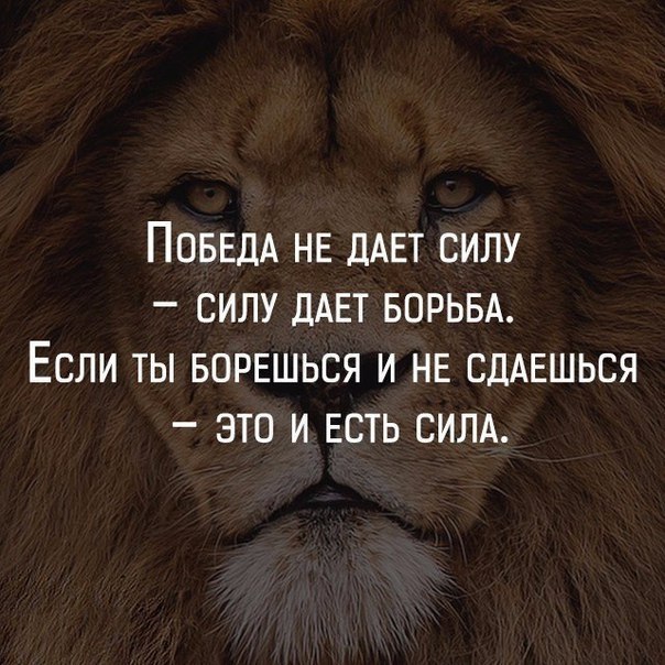     - 1  2019  16:47